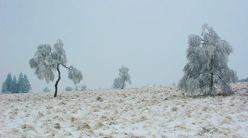 Winterbedingungen an der Fagne de Fraineu.
